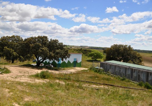 Campamento de mascotas | Residencia de Mascotas