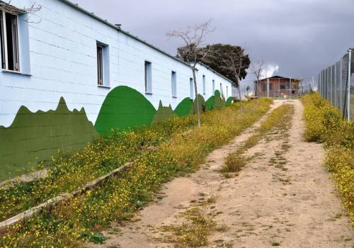 Campamento de mascotas | Residencia de Mascotas