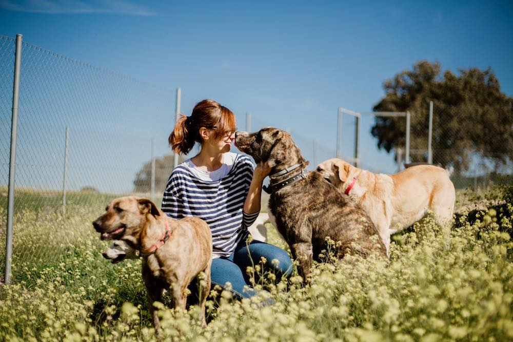Pasando tiempo con los huespedes