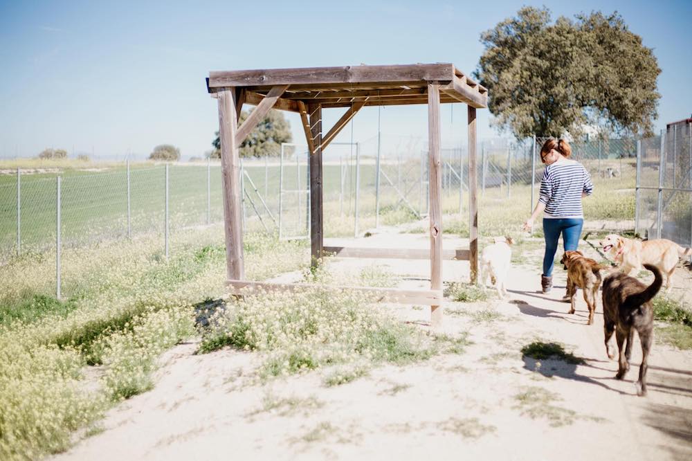 Sacando los perretes alojados a los parques