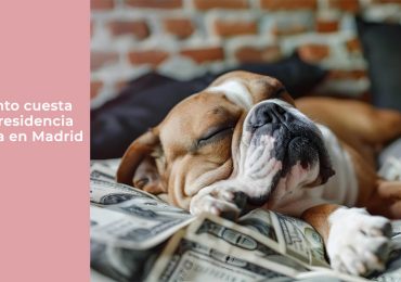 Cuánto cuesta una residencia canina en Madrid en 2026