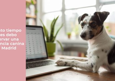 Cuánto tiempo antes debo reservar una residencia canina en Madrid